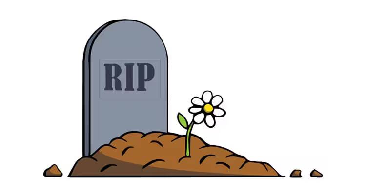 RIP