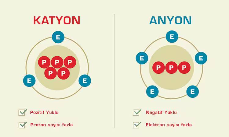 anyon