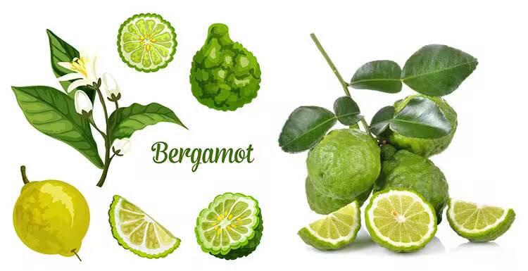 bergamot