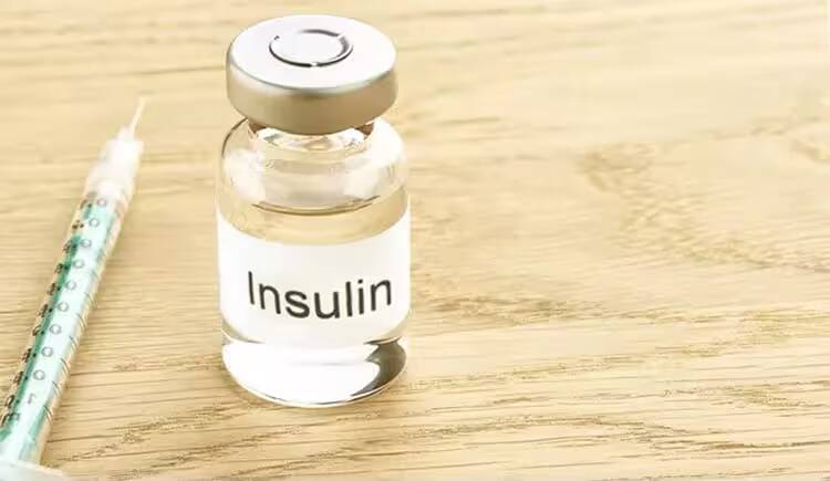 insülin
