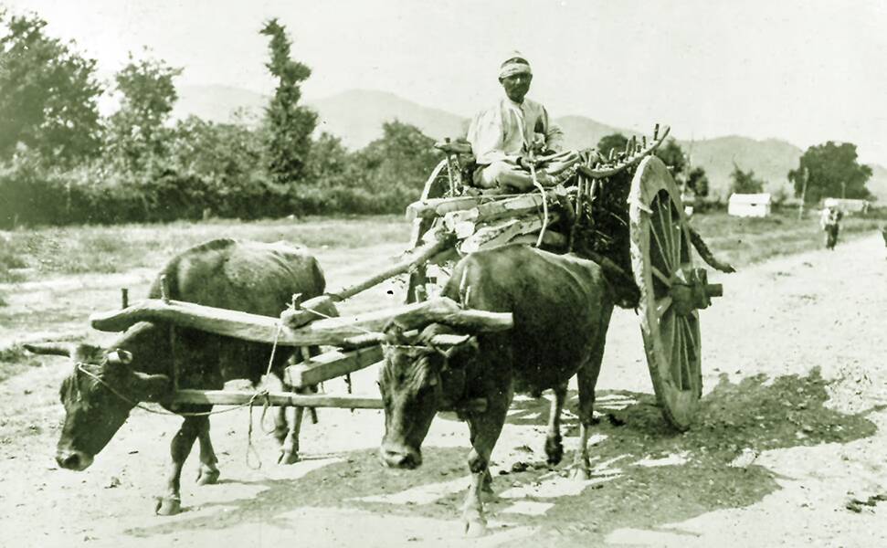 kağnı