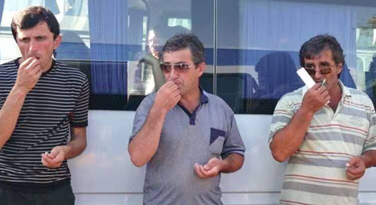 çitlemek